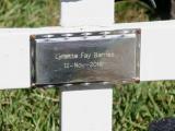 image of grave number 804784